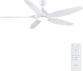 Newday 153cm Grande Ventilador de Techo Blanco con Luz y Mando a Distancia, LED Dimmer, Motor DC reversible para uso en verano e invierno, 5 aspas Silencioso para Dormitorio Sala de estar del Balcón